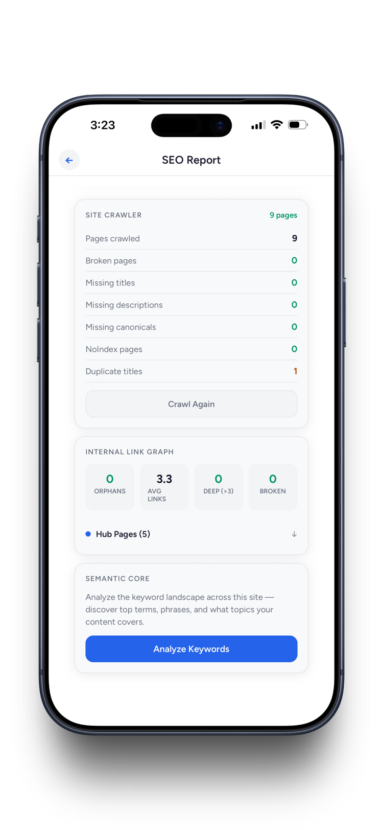 Site crawler results with internal link graph and semantic core analysis